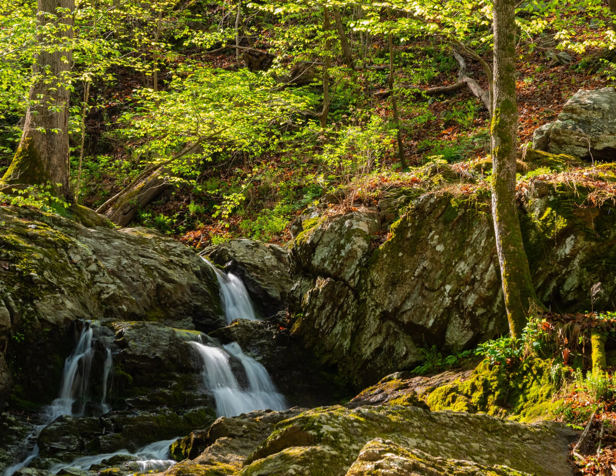 A small multi-tiered waterfall cascading over mossy rocks in a spring forest, water rendered silky by a long exposure