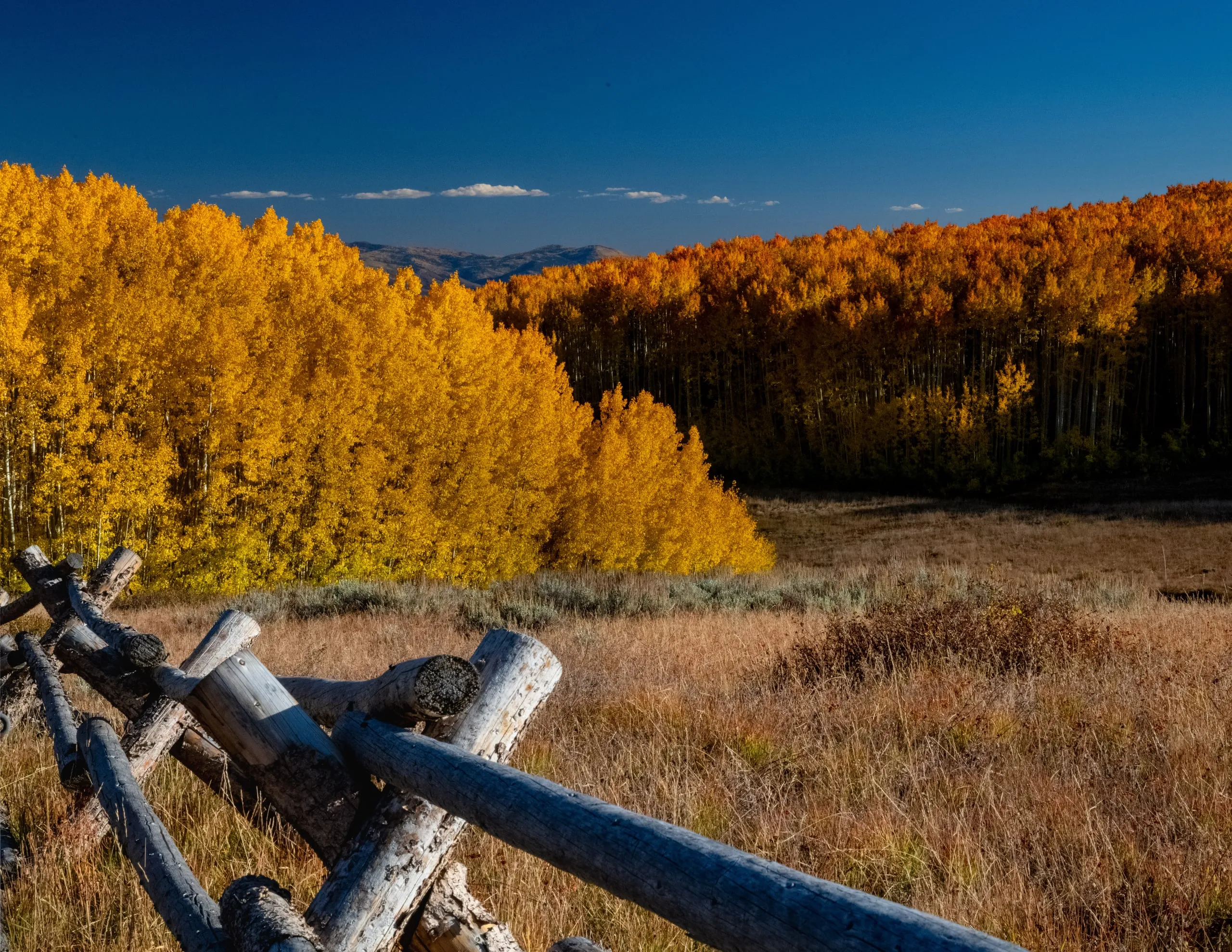 A weathered log rail fence in a dry meadow, with a hillside of golden aspens and distant mountains behind it