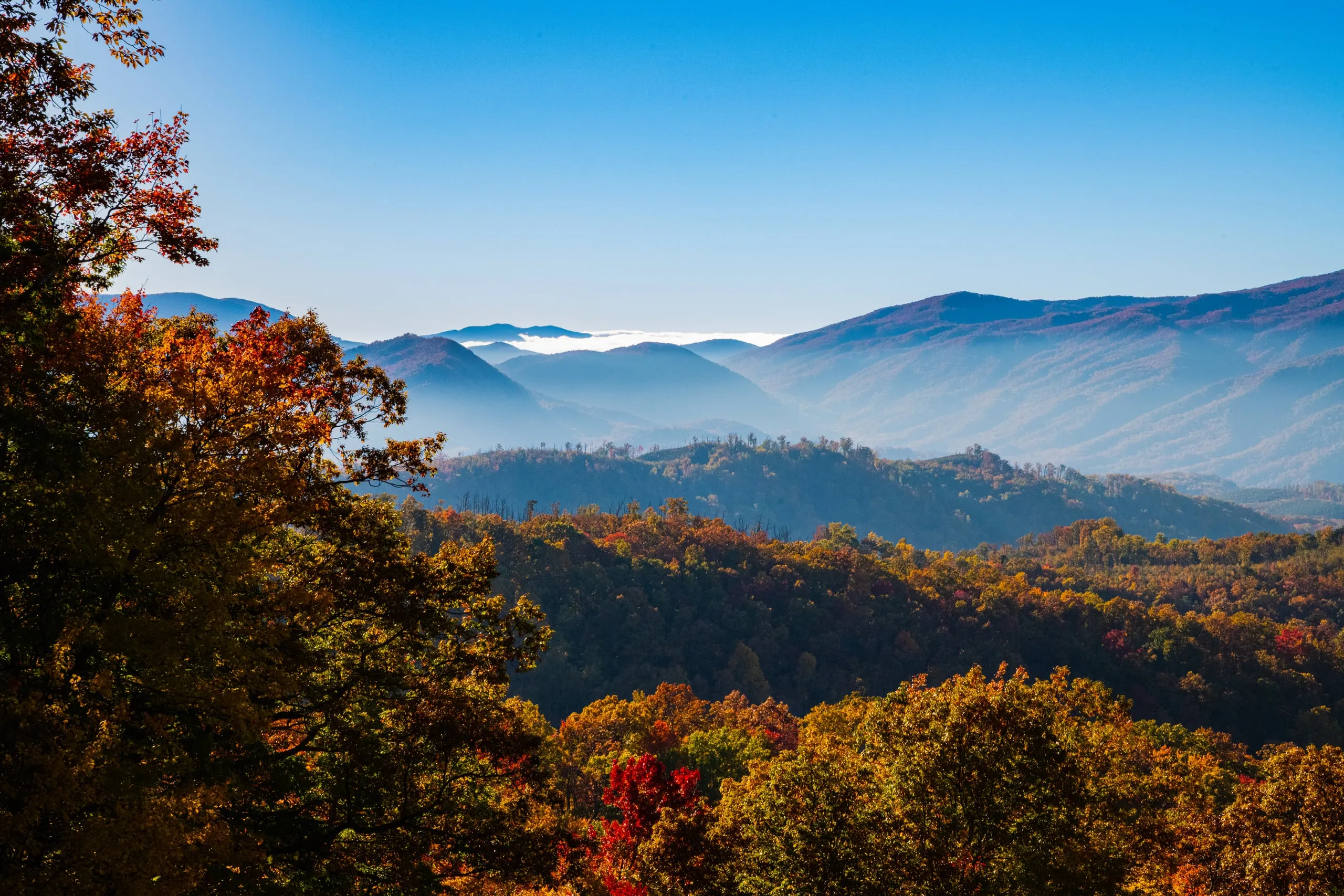 Layered blue mountain ridges receding into haze, with a valley of fall foliage in the foreground