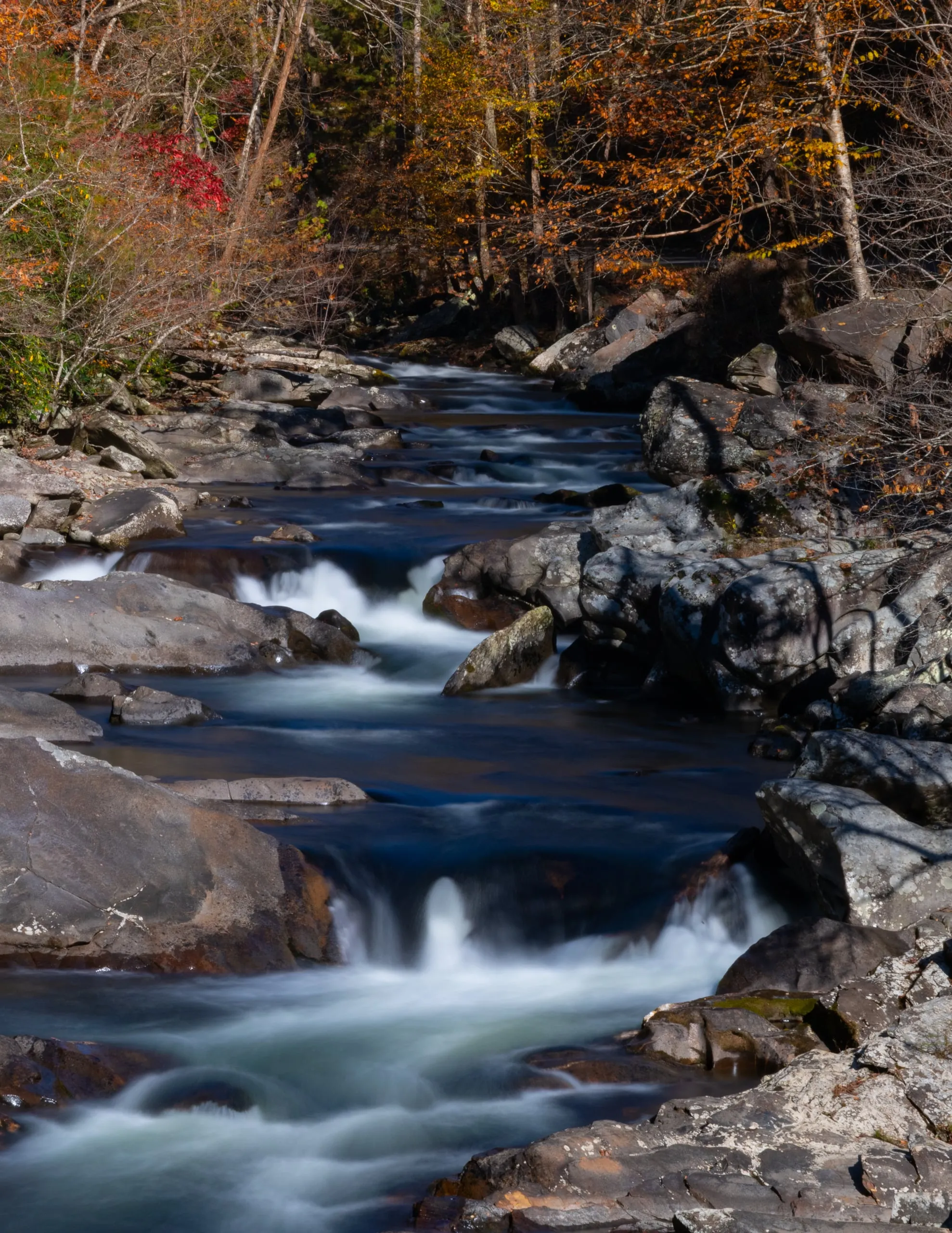 A rocky mountain stream cascading over a series of small drops, water rendered silky by a long exposure, framed by fall foliage