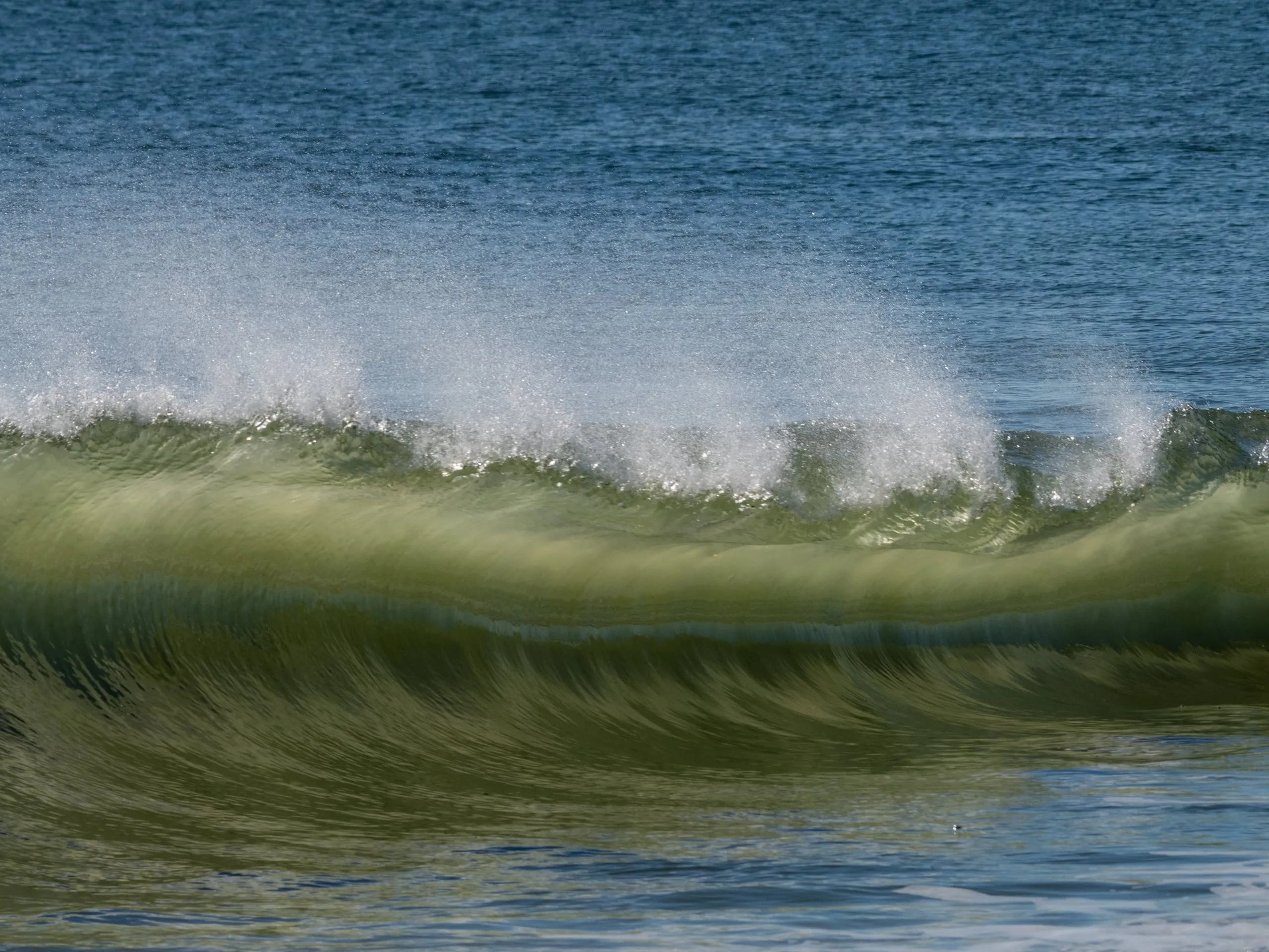 A breaking wave curling into a translucent green tube, spray flying off the crest